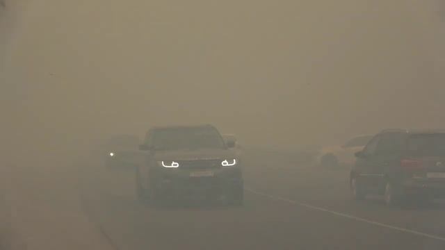 Пожар в лесу. Брест, Задворцы, 24.04.2020 смотреть онлайн