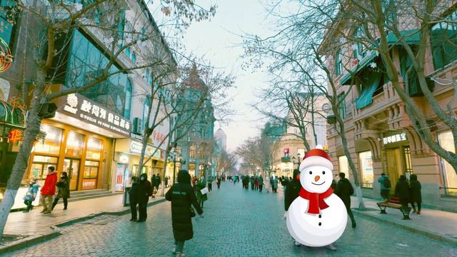 HARBIN A WINTER WONDERLAND 2022 смотреть онлайн