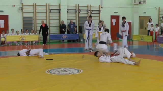 12 Фестиваль боевых искусств 11.02.2018 г. смотреть онлайн