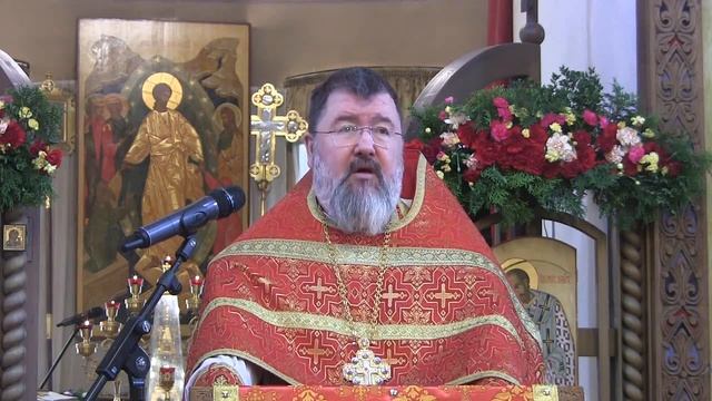 Проповедь на Литургии 18 04 2023 прот. Иоанн Власов смотреть онлайн