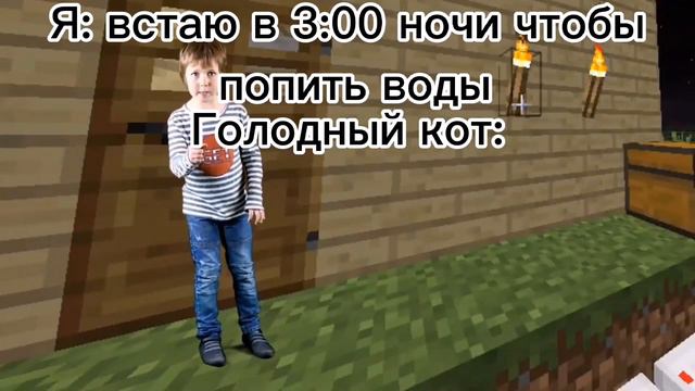 Кот в 3:00 часа ночи: смотреть онлайн