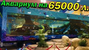 Огромный аквариум на 65 тонн! Обзор аквариумов ТЦ Грант