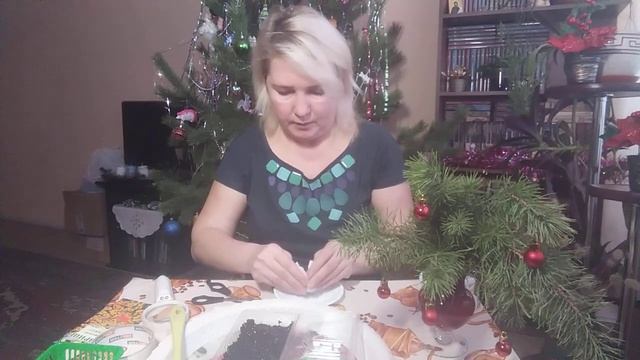 Посев КАЛЬЦЕОЛЯРИИ! смотреть онлайн