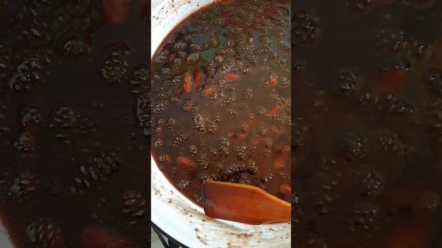 Июнь. Как сварить варенье из зеленых сосновых шишек смотреть онлайн