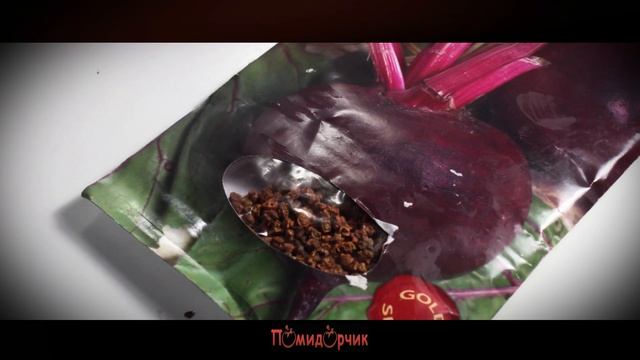 Семена Свекла Столовая Бордо 237 GOLD - Помидорчик смотреть онлайн