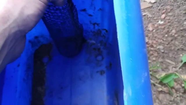 компостер на грядке без запаха и мух смотреть онлайн