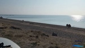 Рапаны. Ловим и готовим в Крыму