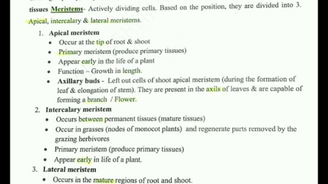 anatomy of flowering plants plus one botany 4th chapter смотреть онлайн