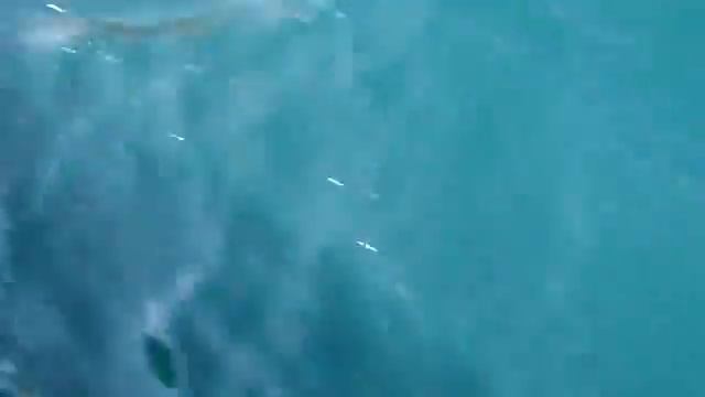 Из Фиолента в Балаклаву, море, 08.2011 смотреть онлайн