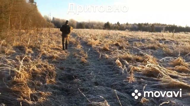 Поход. р Равань, р Тигода. Лен обл Новгородская обл смотреть онлайн