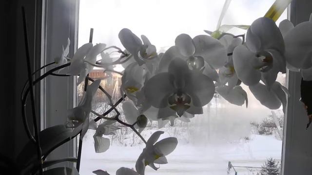 Я тот же,что и был... смотреть онлайн