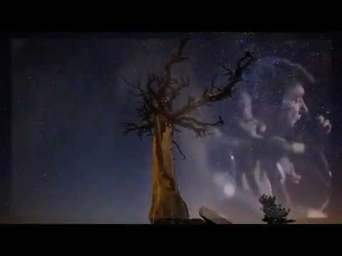 Bryan Ferry - Knockin' On Heaven's Door смотреть онлайн