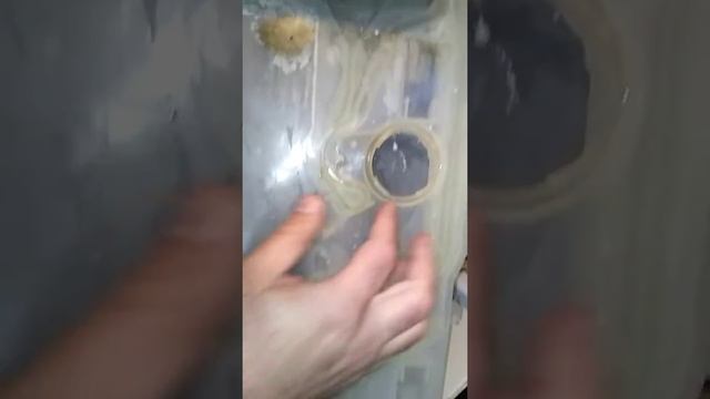 Стоит ли покупать б/у посудомойки Miele? смотреть онлайн