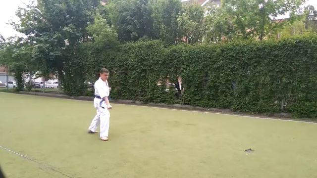 Сальников Глеб, 13 лет, 6 кю Ростовская область смотреть онлайн