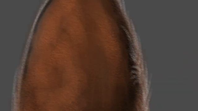 Как рисовать каракала. Уши. программа Autodesk Sketchbook смотреть онлайн