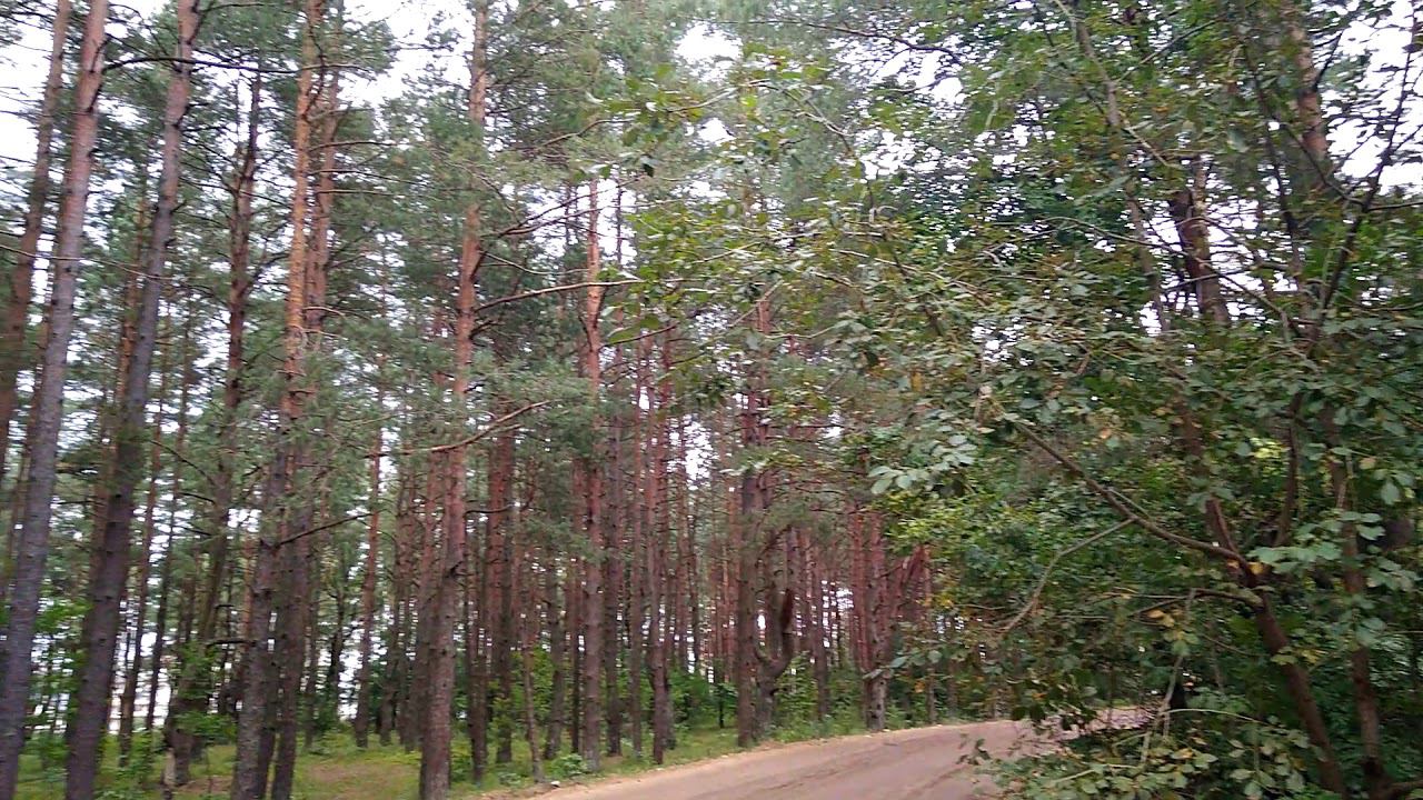 19 Сосновый бор по ул Алданской 2 смотреть онлайн