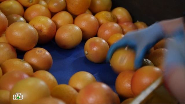 Продукт недели: грейпфрут смотреть онлайн