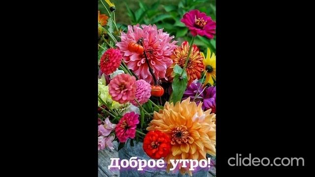 днём 29.08 3 смотреть онлайн