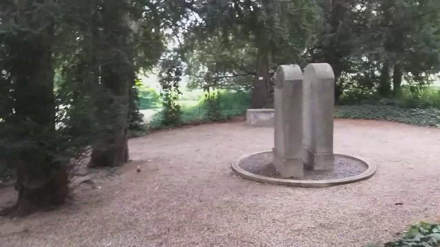 Бамбуковые заросли.Лотосы.Батанический сад.Вена. смотреть онлайн