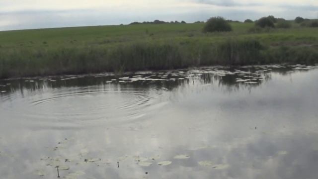 Хорватское яйцо и огромный воблер на Щуку. смотреть онлайн