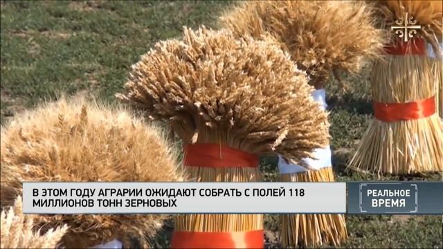 Качество хлеба будет падать. смотреть онлайн
