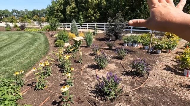 Planting a Huge Load of Butterfly Bushes! ??? // Garden Answer смотреть онлайн