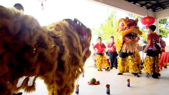TAN ENG GUAN'S FAMILY CNY 2014 CEREBRATION смотреть онлайн