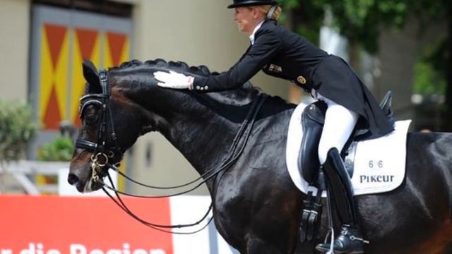 Зачем нужна пятка вниз в конном спорте? #кони #верховая_езда #лошади #конныйспорт #лошадь смотреть онлайн