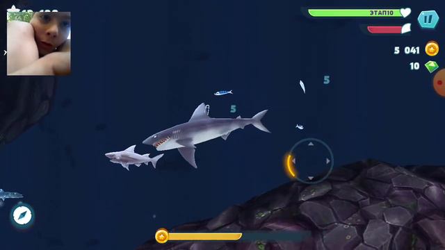 как играть за акулу смотреть онлайн