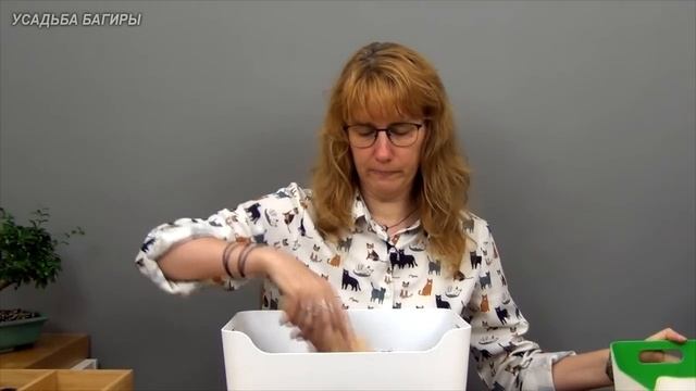 Бонсай из бугенвиллеи (ч.1).