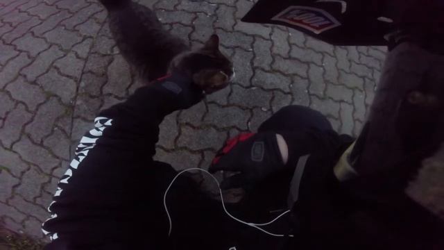 My last moped summer!? | Puch | Ciao | SwissMaru смотреть онлайн