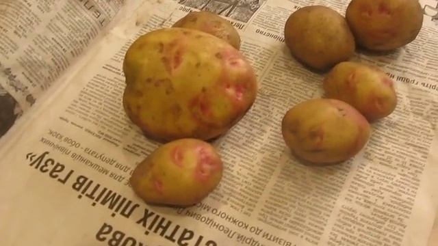 "Пикассо" смотреть онлайн