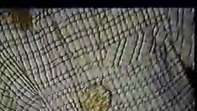 Аркадий Укупник | Судьба смотреть онлайн