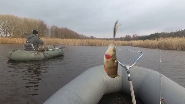КАРАСЬ на рака NIMBLE CRAZY FISH. Рыбалка с лодки. смотреть онлайн