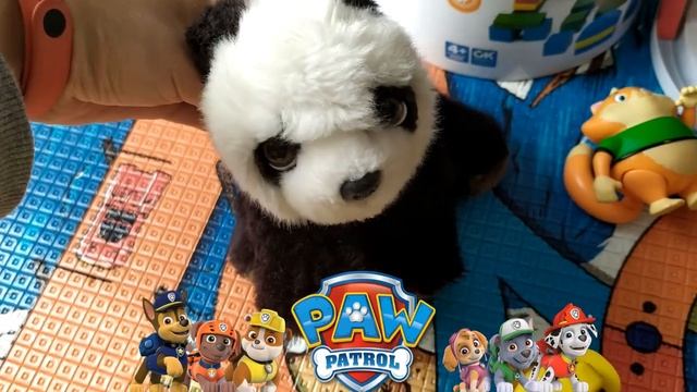 Колибри арт Аня с Катей играют со щенячим патрулем и котом из 44 кота, строят дом для кота, панда смотреть онлайн
