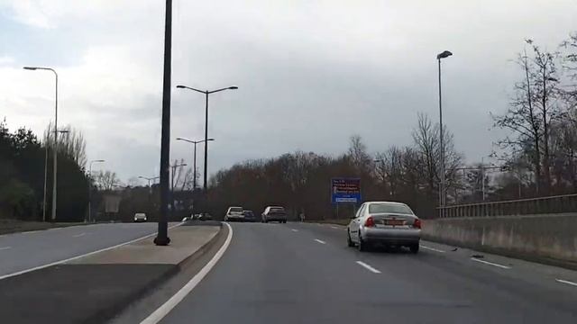 #Рододендрон уже #цветёт ! #Едем в Гаагу. Международный #суд. смотреть онлайн