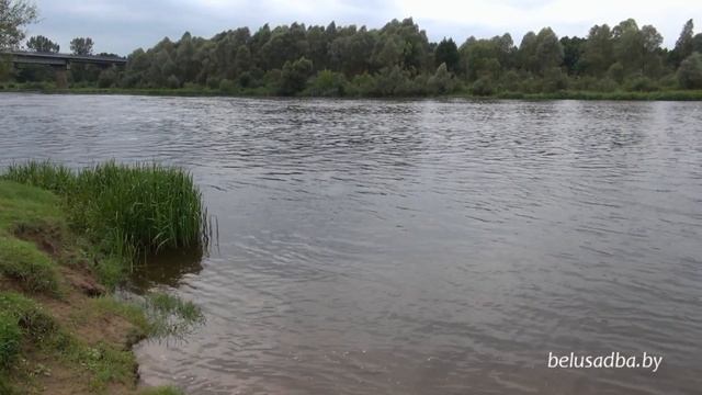 Усадьба Над Неманом - водоем, Усадьбы Беларуси смотреть онлайн