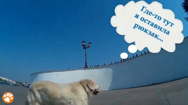 Ролик "Легенды Севастополя" для XIX Международного студенческого фестиваля рекламы «Созвездие Юлы».