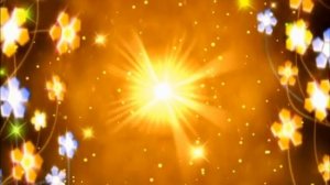 футаж -цветочный  орнамент