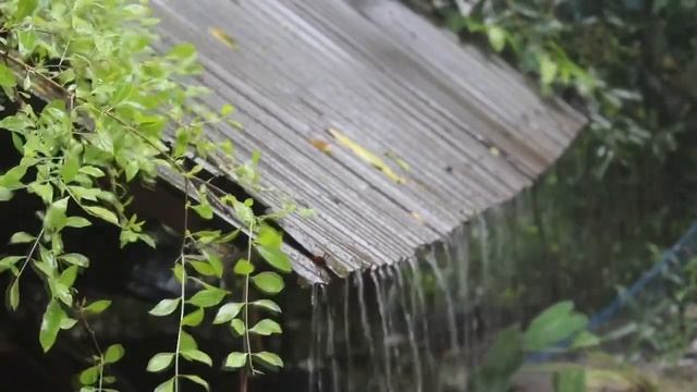 Звук дождя и раската грома, для глубокого сна и релаксаций.