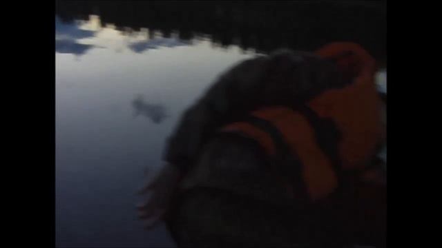 КАРЕЛЬСКИЕ ЗАРИСОВКИ БЕЛ БАЛТИЙСКИЙ КАНАЛ 3 смотреть онлайн