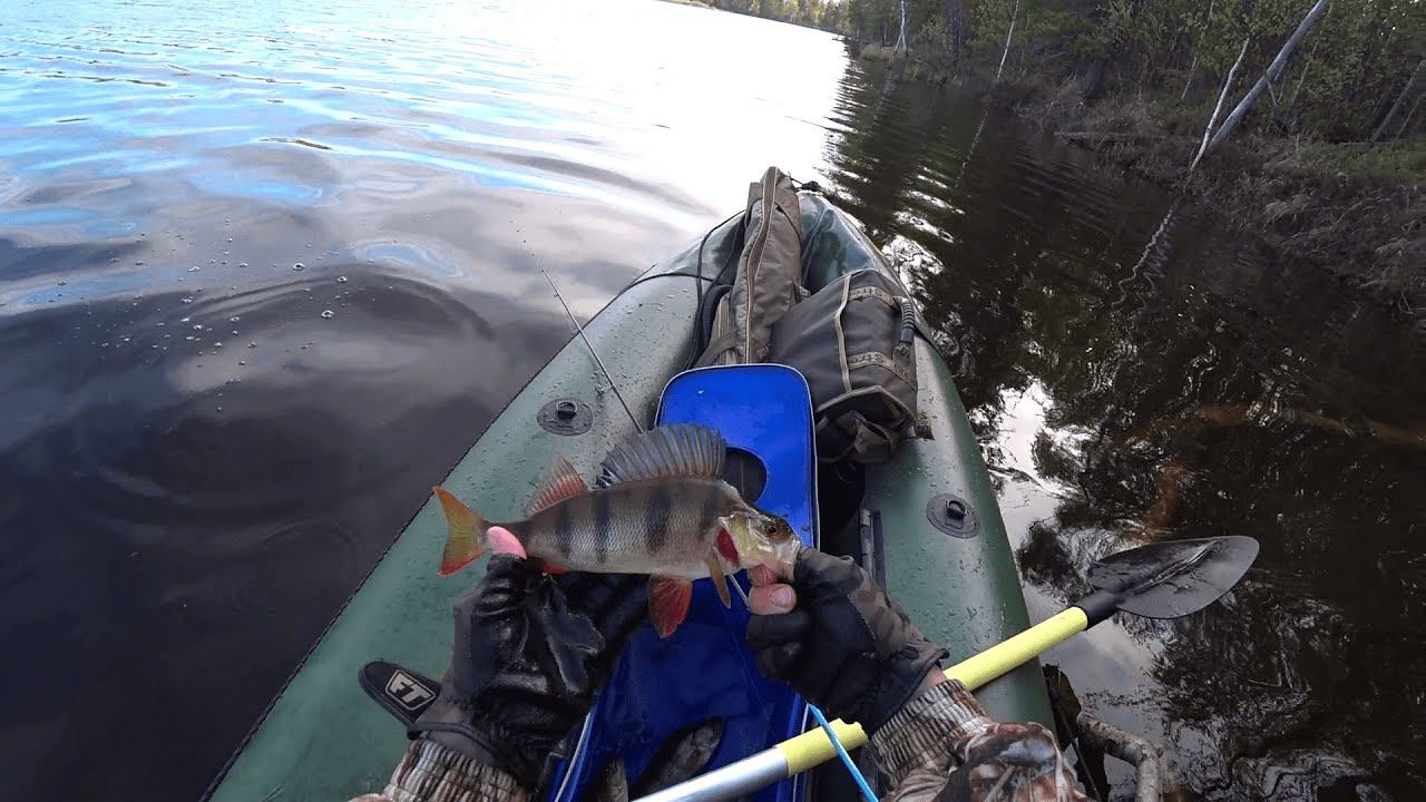 МЕСТА ЗДЕСЬ ДИКИЕ, А РЫБА ВРЕДНАЯ)) .РЫБАЛКА НА СПИННИНГ. смотреть онлайн