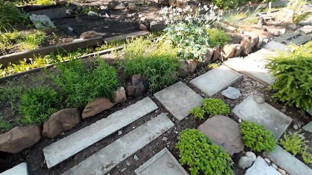 Водоем| Облагородили территорию у водоема смотреть онлайн