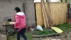 КРОЛИКИ//БОЛЬШОЕ СВЕТЛОЕ СЕРЕБРО (БСС) ПРОТИВ ПОМЕСИ полтавское серебро