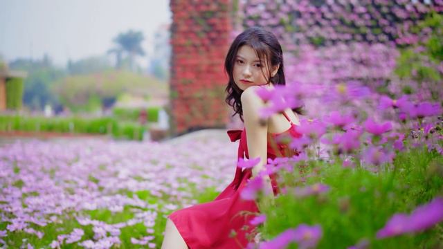 Top 50 Saxophone Romantic Love Song Instrumental - | Album Saxophone Song Famous 227 смотреть онлайн