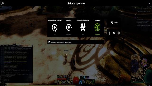 Guild Wars 2 смотреть онлайн