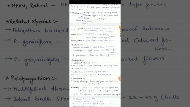 Tuberose #tuberose #agrioptional #floriculture смотреть онлайн