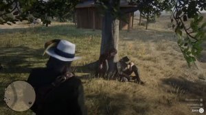 Red Dead Redemption 2 Миссия Лучший мир, новый друг