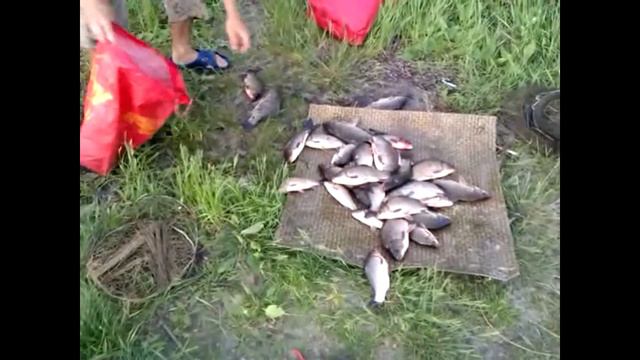 Рыбалка. Ловля рыбы на снасть "Убийца карася" смотреть онлайн