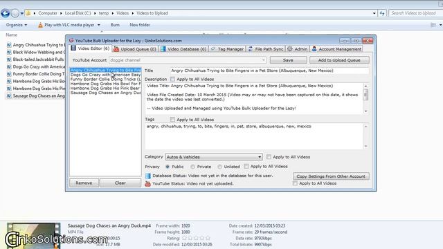 YouTube Bulk Uploader for the Lazy - Video Editor - GinkoSolutions.com смотреть онлайн